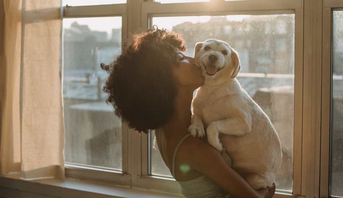 Image for Unspoken Stress: How Your Anxiety Impacts Your Beloved Pets